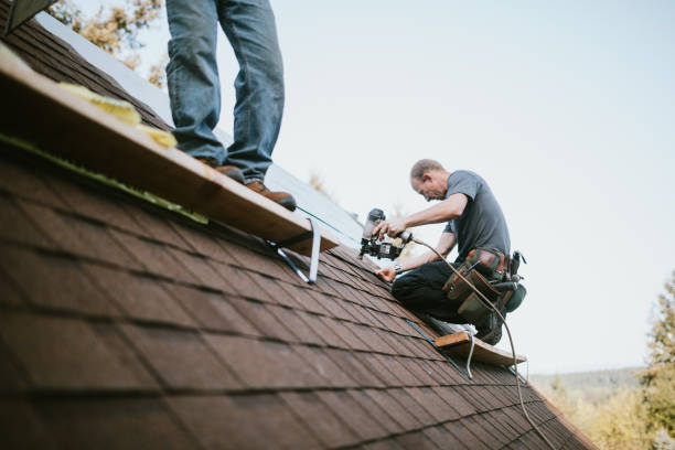 Best Metal Roofing Contractor  in Somerset, WI