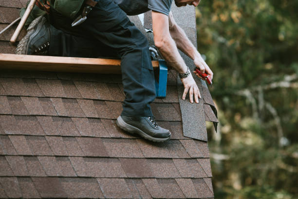 Best Roof Leak Repair  in Somerset, WI